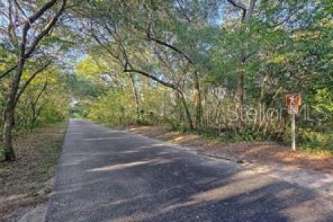 Terreno en venta en Tampa, Florida № 1915935 - foto 2