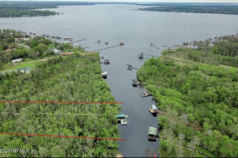 Land in Middleburg, Florida № 766321 - photo 1