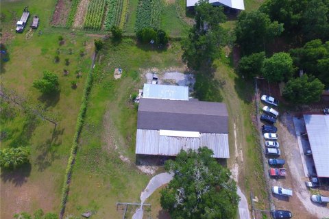 Commercial property in Dade City, Florida 234.49 sq.m. № 2103161 - photo 6