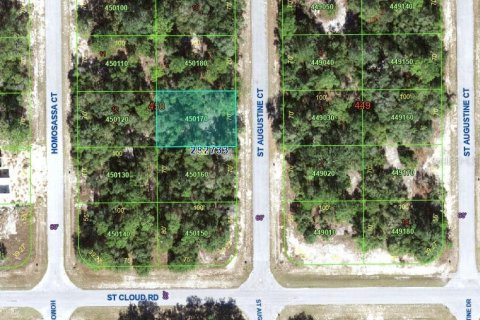 Land in Kissimmee, Florida № 2160189 - photo 4