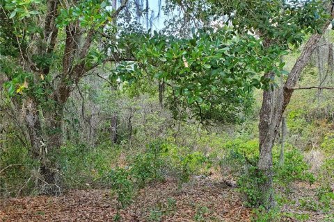 Land in Kissimmee, Florida № 2160189 - photo 2