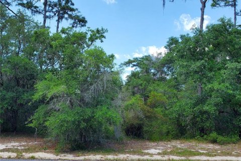 Land in Kissimmee, Florida № 2160189