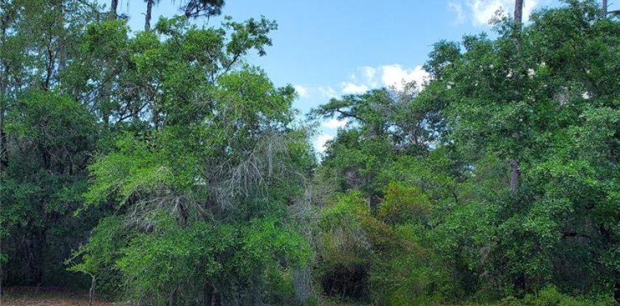 Land in Kissimmee, Florida № 2160189