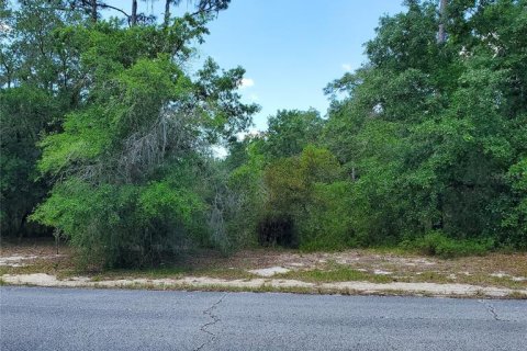 Land in Kissimmee, Florida № 2160189 - photo 3