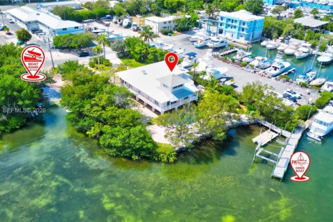 House in Islamorada, Village of Islands, Florida 8 bedrooms, 339 sq.m. № 2266184