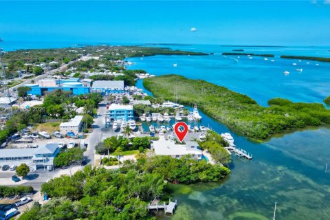 House in Islamorada, Village of Islands, Florida 8 bedrooms, 339 sq.m. № 2266184 - photo 13