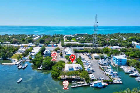 House in Islamorada, Village of Islands, Florida 8 bedrooms, 339 sq.m. № 2266184 - photo 14
