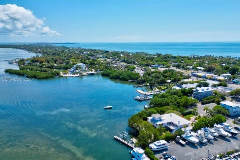House in Islamorada, Village of Islands, Florida 8 bedrooms, 339 sq.m. № 2266184 - photo 15