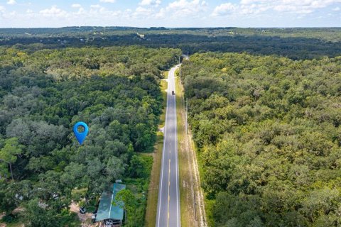 Terreno en venta en Astatula, Florida № 1854229 - foto 5