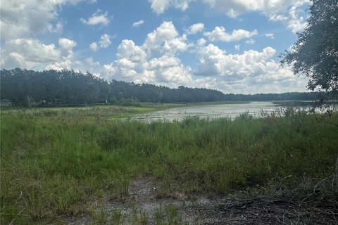 Terreno en venta en Dunnellon, Florida № 1908609 - foto 2