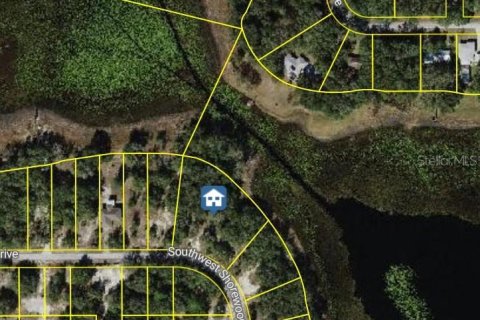 Terreno en venta en Dunnellon, Florida № 1908609 - foto 23