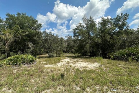 Terreno en venta en Dunnellon, Florida № 1908609 - foto 16