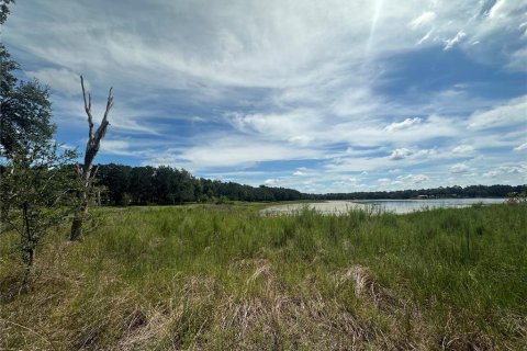 Terreno en venta en Dunnellon, Florida № 1908609 - foto 7
