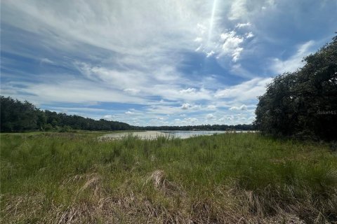 Terreno en venta en Dunnellon, Florida № 1908609 - foto 5