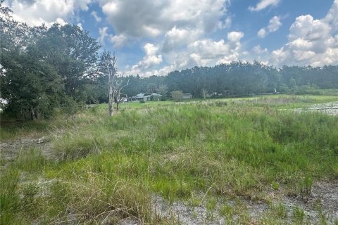 Terreno en venta en Dunnellon, Florida № 1908609 - foto 20