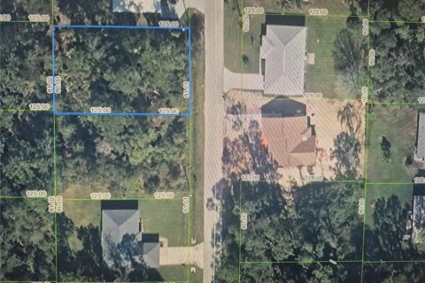 Land in Sebring, Florida № 2402727