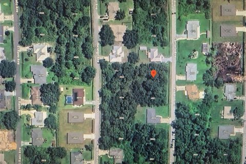 Land in Sebring, Florida № 2402727 - photo 8