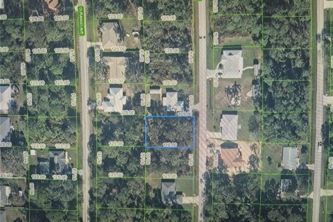 Land in Sebring, Florida № 2402727 - photo 2
