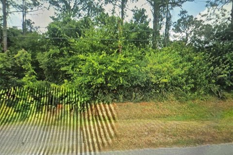 Land in Sebring, Florida № 2402727 - photo 3