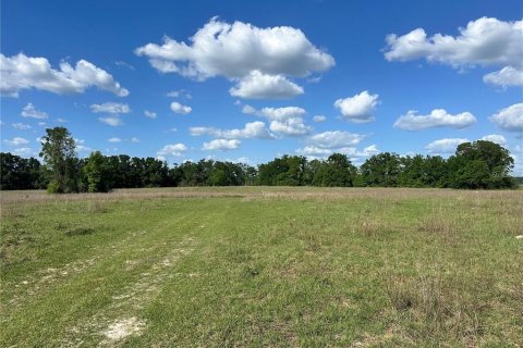 Land in Fort White, Florida № 1843849 - photo 10
