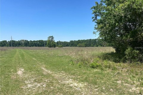 Land in Fort White, Florida № 1843849 - photo 12