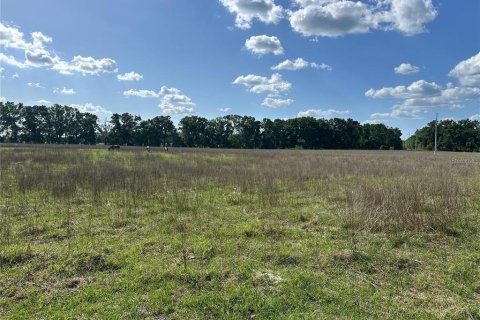 Land in Fort White, Florida № 1843849 - photo 8
