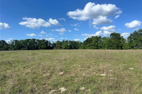 Land in Fort White, Florida № 1843849 - photo 4