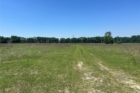 Land in Fort White, Florida № 1843849 - photo 11