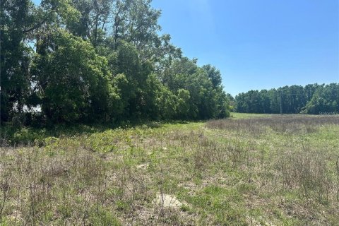 Land in Fort White, Florida № 1843849 - photo 13