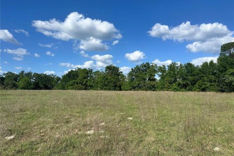 Land in Fort White, Florida № 1843849 - photo 5