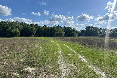 Land in Fort White, Florida № 1843849 - photo 7