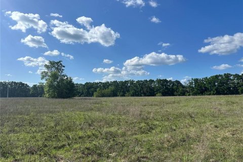 Land in Fort White, Florida № 1843849 - photo 6