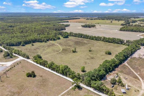 Land in Fort White, Florida № 1843849 - photo 3