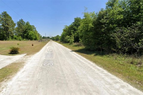 Land in Dunnellon, Florida № 2095790 - photo 4
