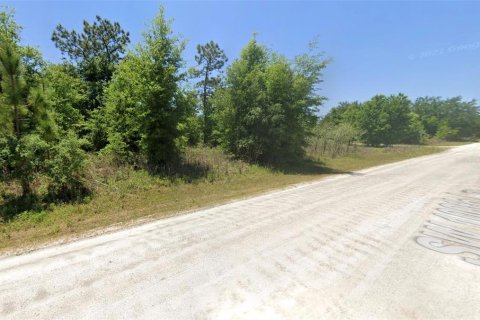 Land in Dunnellon, Florida № 2095790 - photo 3