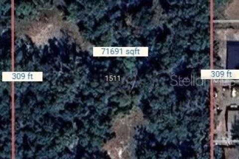 Land in Eustis, Florida № 1915112 - photo 1