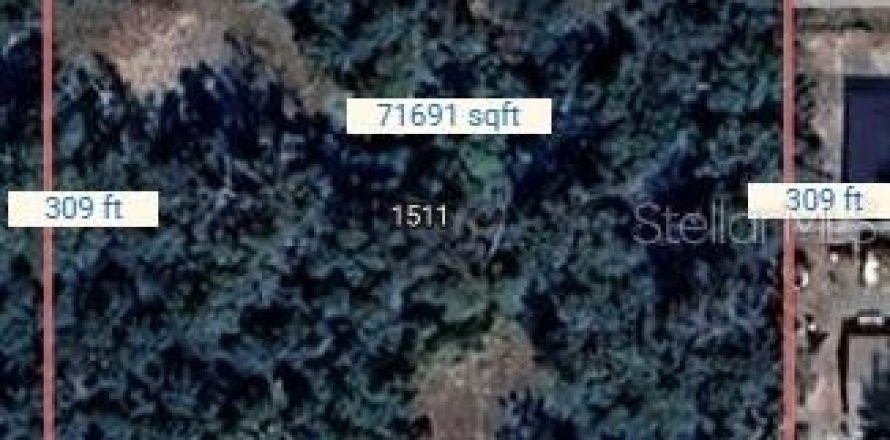 Terrain à Eustis, Floride № 1915112