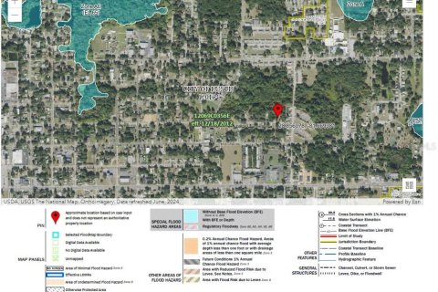 Land in Eustis, Florida № 1915112 - photo 4