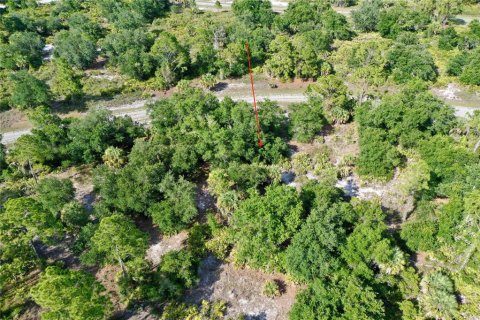 Land in North Port, Florida № 2212377 - photo 6