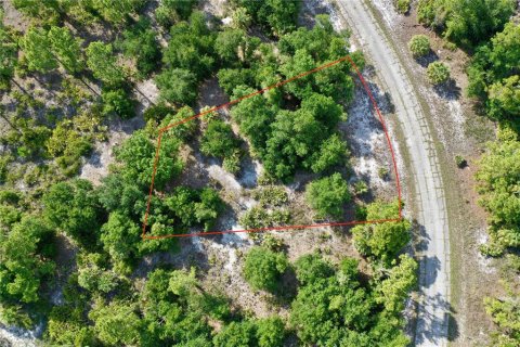 Land in North Port, Florida № 2212377 - photo 7