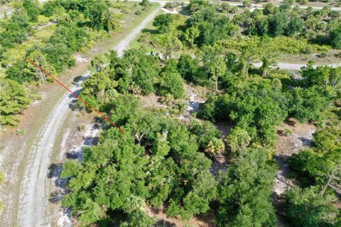 Land in North Port, Florida № 2212377 - photo 5
