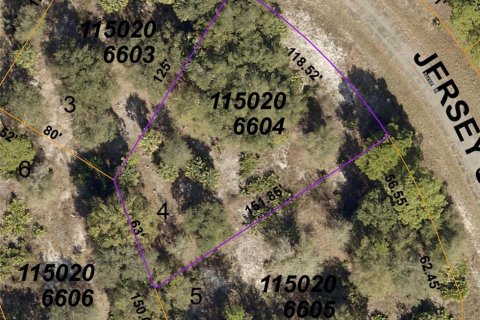 Land in North Port, Florida № 2212377 - photo 3