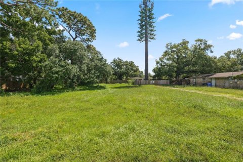 Land in Tampa, Florida № 2347967