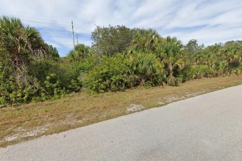Land in Punta Gorda, Florida № 2224143 - photo 3