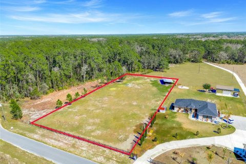 Land in Polk City, Florida № 2111955
