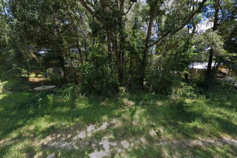 Land in Ocala, Florida № 2360483