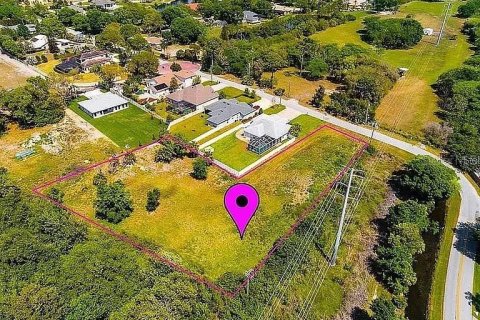 Terreno en Tarpon Springs, Florida № 2226829