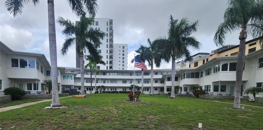 Condo in Saint Petersburg, Florida, 1 bedroom  № 2273092