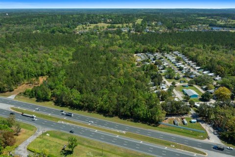 Land in Brooksville, Florida № 1723277 - photo 9