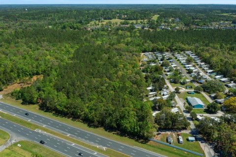 Land in Brooksville, Florida № 1723277 - photo 5